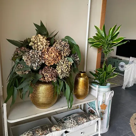 A Casa De Buxacos Tatil Evi