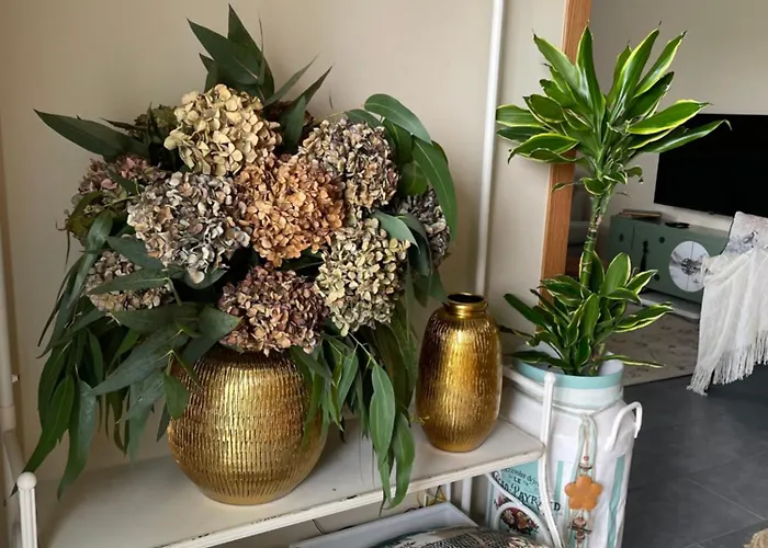 A Casa De Buxacos Tatil Evi